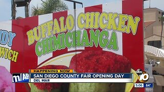Locals flock to San Diego County Fair's fried foods