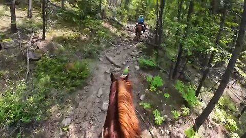Cajun Horseman Falls to His Knees Heading up a Mountain - Mount Rushmore 😲🐴