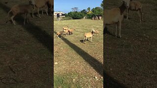 FAMILY ON THE FARM