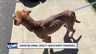 Suspected animal cruelty case in North Tonawanda