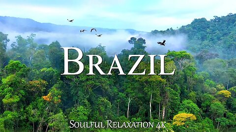 Brazil 4K - Beautiful Relaxation Wildlife Film With Inspiring Music