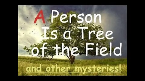 "A Person is a Tree of the Field" and other Metaphors