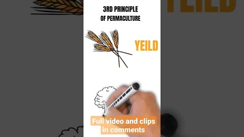 Obtaining a yield 3rd principle of permaculture #garden #organicfarming #permaculture