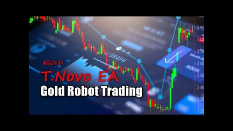 11.390 Erfolgreiche Trade´s mit 45% Risiko ?💥 Test mit T.Novo EA ohne MagicTime #roboforex #4fx