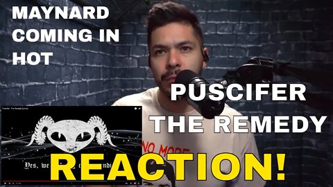 Pusicfer - The Remedy (Reaction!) | Dedicated to the keyboard warriors out there