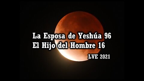 La Esposa de Yeshúa 96 - El Hijo del hombre 16