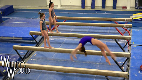 Balance Beam Series Training | Whitney Bjerken Gymnastics