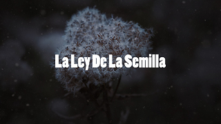 La Ley De Las Semillas