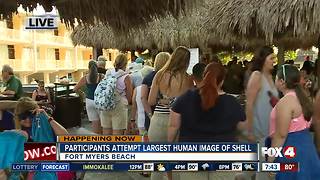 National Sea Shell Day on Fort Myers Beach