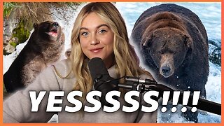 It's FAT BEAR WEEK, EVERYBODY!! Time For Some Happy News | Isabel Brown LIVE