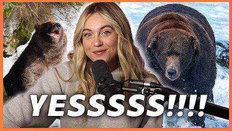 It's FAT BEAR WEEK, EVERYBODY!! Time For Some Happy News | Isabel Brown LIVE