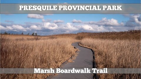 Hiking The Marsh Boardwalk At Presquile Provincial Park