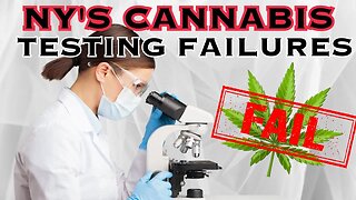 New York's Cannabis Testing Failures: A Serious Health Concern?