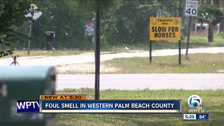 Strange smell in parts of Palm Beach County