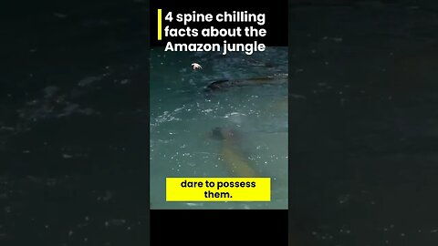 4 Spine chilling facts about the amazon jungle #shorts