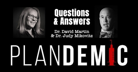 Plandemic - Q&A - Dr. David Martin & Dr. Judy Mikovitz