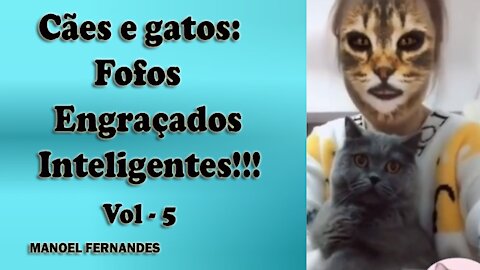 Cães e gatos: Fofos, engraçados e inteligentes!!! vol - 5