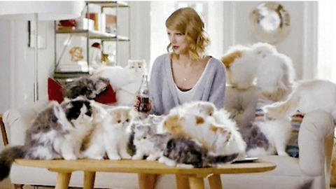 10 Things You Should Know Before Dating A Cat Lady