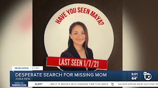 Desperate search for missing mom Maya Millete continues