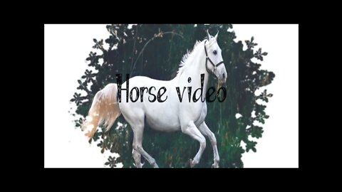 Cute horse, Horse video, #riding horse video#