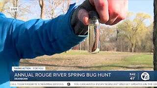 Rouge River Spring Bug Hunt