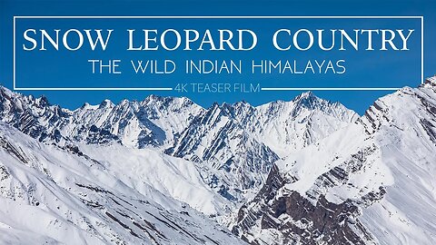 Snow Leopard Country - 4K Teaser Film