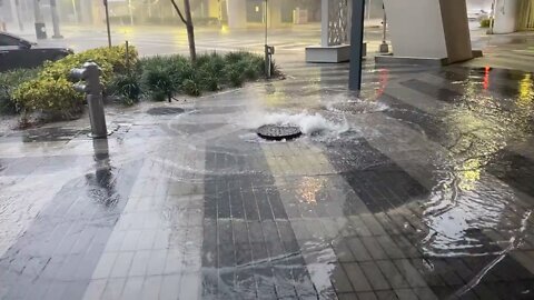 Water is already overwhelming storm drains in Downtown Miami. #Ian #HurricaneIan #ClimateAction