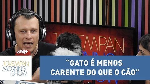 "Gato é menos carente do que o cão, mas é capaz de demonstrar carinho", afirma Alexandre Rossi