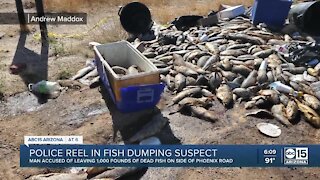 Man arrested after 1,000 pounds of fish were dumped in Phoenix