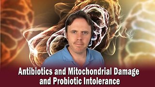 Antibiotics and Mitochondrial Damage and Probiotic Intolerance