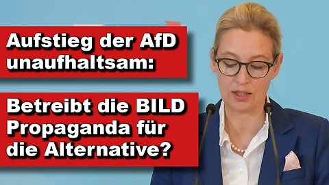 Aufstieg der AfD unaufhaltsam: Betreibt die BILD Propaganda für die Alternative? (Kurze Wortmeldung)