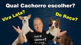 Cachorro de raça ou Vira lata, qual o melhor para você?