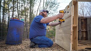 Our Forest Pastured Pigs Get A New Pallet Shelter