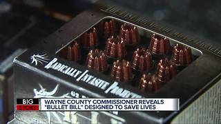 Wayne Co. Commissioner proposes 'Bullet Bill' to limit sale of bullets