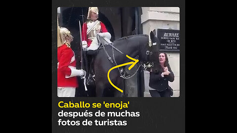Turista sale ilesa tras el enojo de un caballo de la guardia del Rey Carlos III