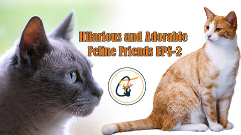 Hilarious and Adorable Feline Friends EPS-2
