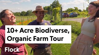 This 10-ACRE BIODIVERSE, ORGANIC Farm Feeds Over 1000 Families — Ep. 052