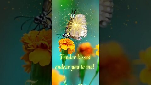 A Butterfly Kiss Of Sweet Love! 💗💋