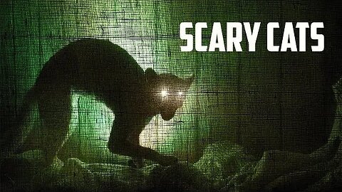 Scary cats -Kali billi sound effect | cat Horror screaming sound effect - Angry Cat