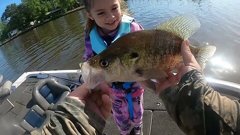 Catching huge crappie and dink bass