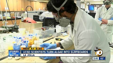 UCSD scientists turn algae into surfboards
