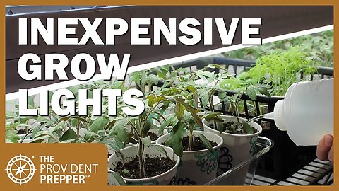 Inexpensive Grow Lights to Jump Start Your Garden
