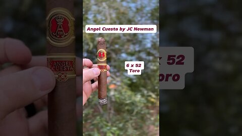 Quick Stick: Angel Cuesta by JC Newman #cigars #gold #live