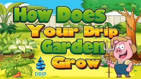 Drip Network - How does your Garden Grow