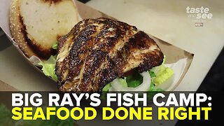 Big Ray's Fish Camp in South Tampa offers seafood done right | Taste and See Tampa Bay