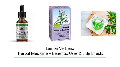 Lemon Verbena Herbal Medicine Benefits, Uses & Side Effects