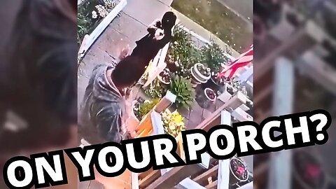 It's Dangerous To Stand On Your Porch in Democrat-Chicago