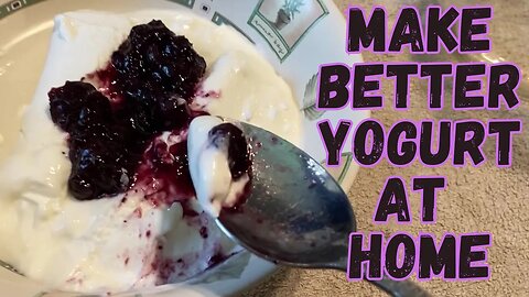 Easy 2 Ingredient Homemade Yogurt Recipe