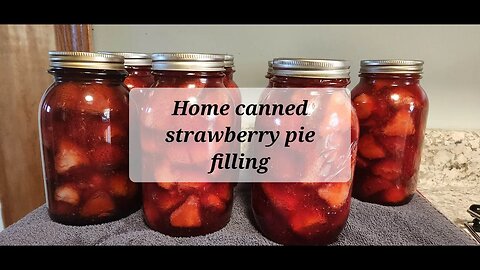 Canning strawberry pie filling #strawberry #canning #pies