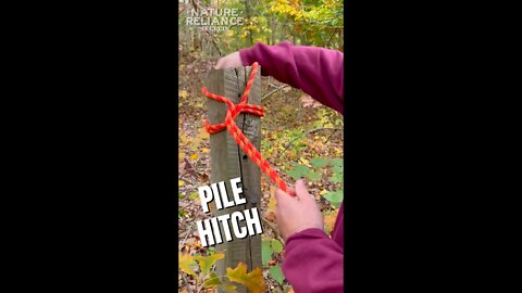 Pile Hitch: Love it or not? #shorts #knots #rope #easy
